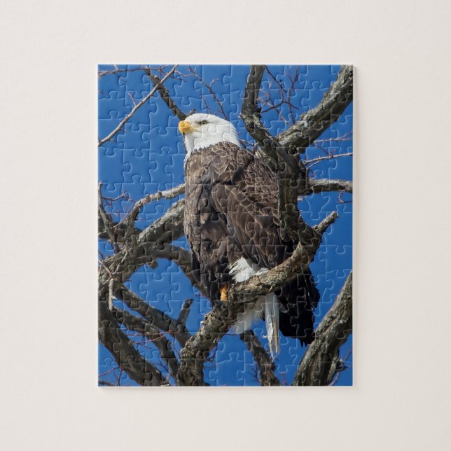 Puzzle Aigle de Bald (Vertical)