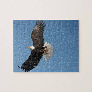 Puzzle Aigle de Bald en vol