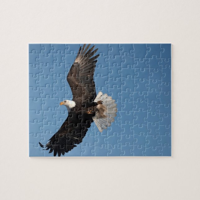 Puzzle Aigle de Bald en vol (Horizontal)