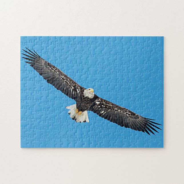 Puzzle Aigle de Bald en vol (Horizontal)