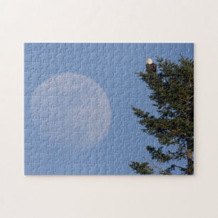 Puzzle Aigle de Bald   Pleine lune montante