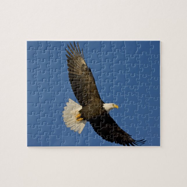 Puzzle Aigle, Haliaeetus leucocephalus, Homer, (Horizontal)