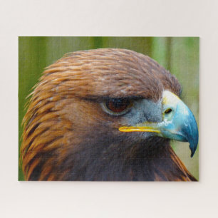 Puzzle Aigle royal oiseau de proie.