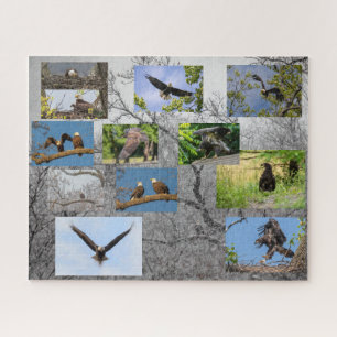 Puzzle Aigles À Balles, Apportant Junior