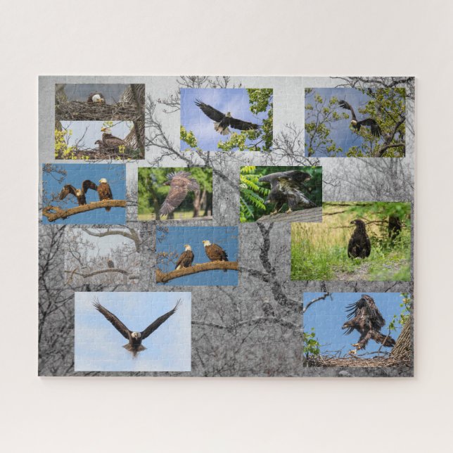 Puzzle Aigles À Balles, Apportant Junior (Horizontal)