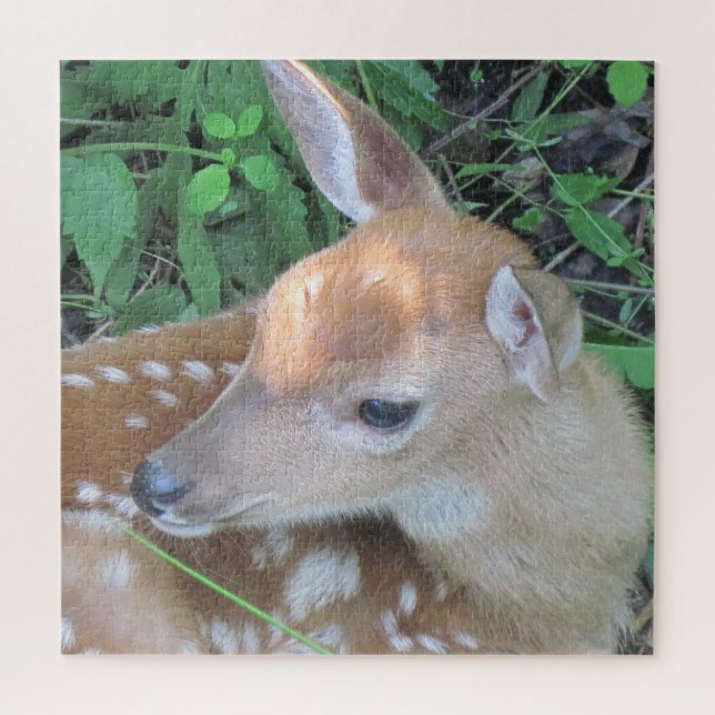 Puzzle Aimable Fawn (Vertical)