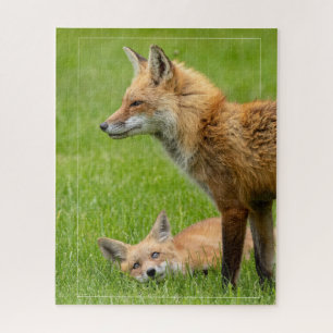 Puzzle Aimer Les Foxes Des Yeux Avec Frontière
