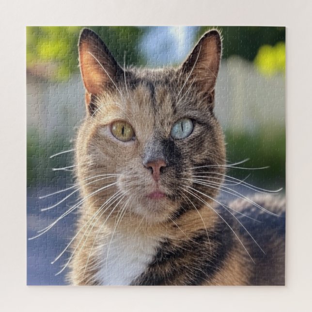 Puzzle Ajouter une Personnaliser photo de chat (Vertical)