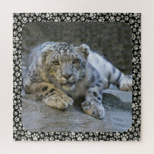 PUZZLE AJOUTER UNE PHOTO CHIEN OU CHAT