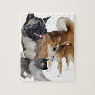 Puzzle Akita