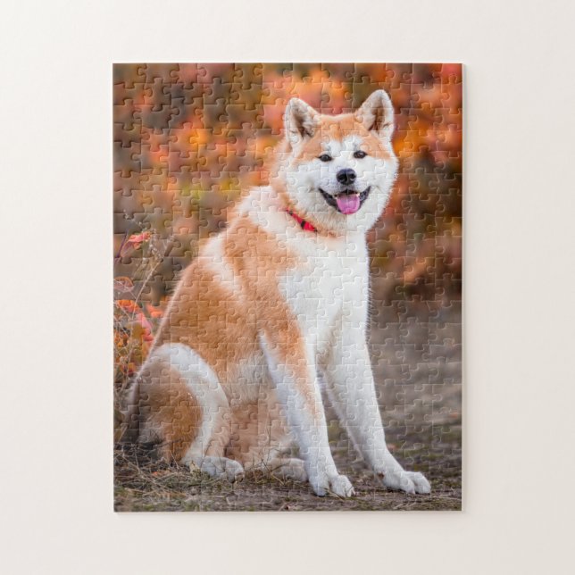Puzzle Akita assise (Vertical)
