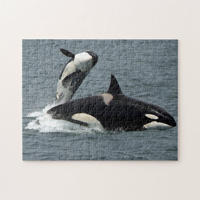 Puzzle Alaska Killer Whale Orca Photo (Horizontal)