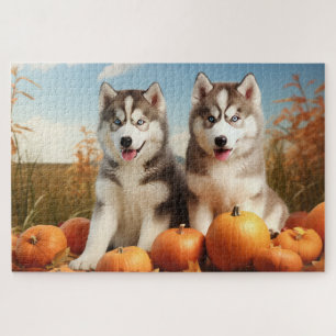 Puzzle Alaskan Malamute Chiot Automne Citrouille délice