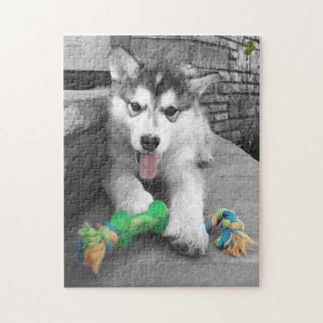 Puzzle Alaskan Malamute Puppy Color Splash Photographie (Vertical)