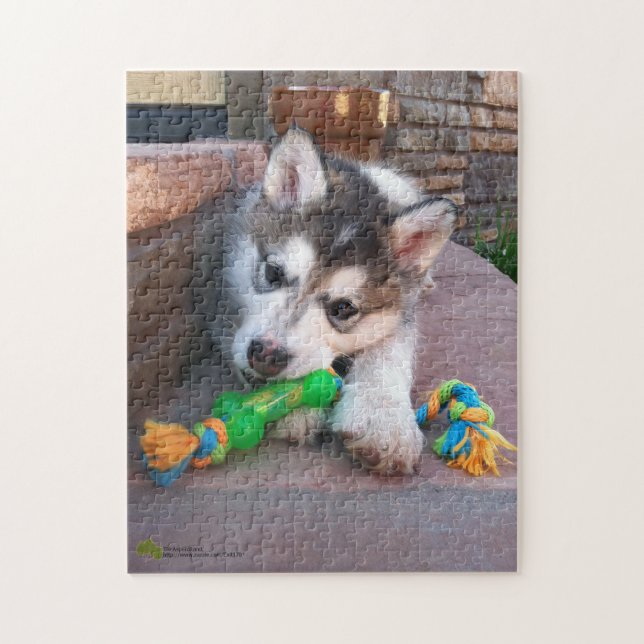 Puzzle Alaskan Malamute Puppy Gros plan (Vertical)