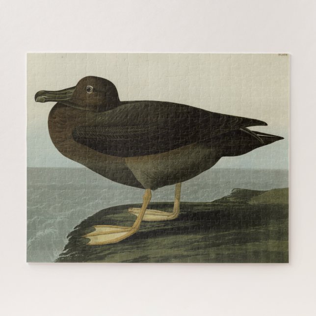 Puzzle Albatros usqués des oiseaux d'Amérique d'Audubon (Horizontal)
