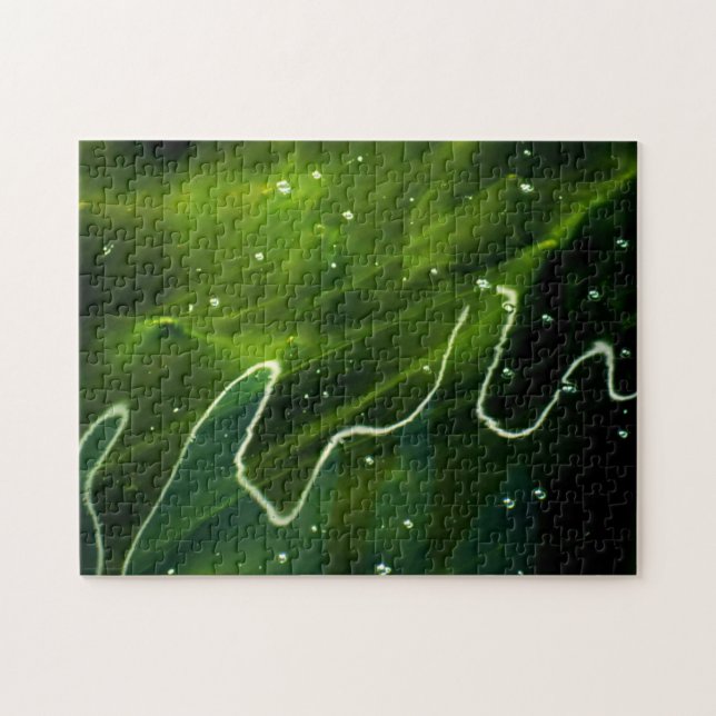 Puzzle Algues vertes et eau 11x14 252pc jpcn (Horizontal)