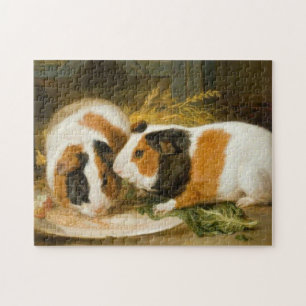 Puzzle Alimentation de cochons de Guinée animale (par Jam