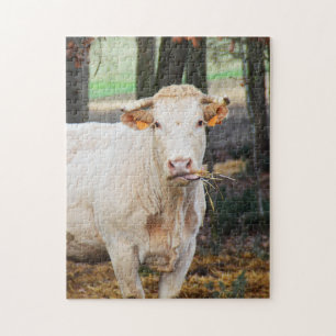 Puzzle Alimentation de la vache en France