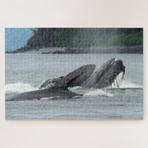 Puzzle Alimentation des baleines à bosse