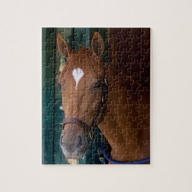 Puzzle Allé au devant (Vertical)