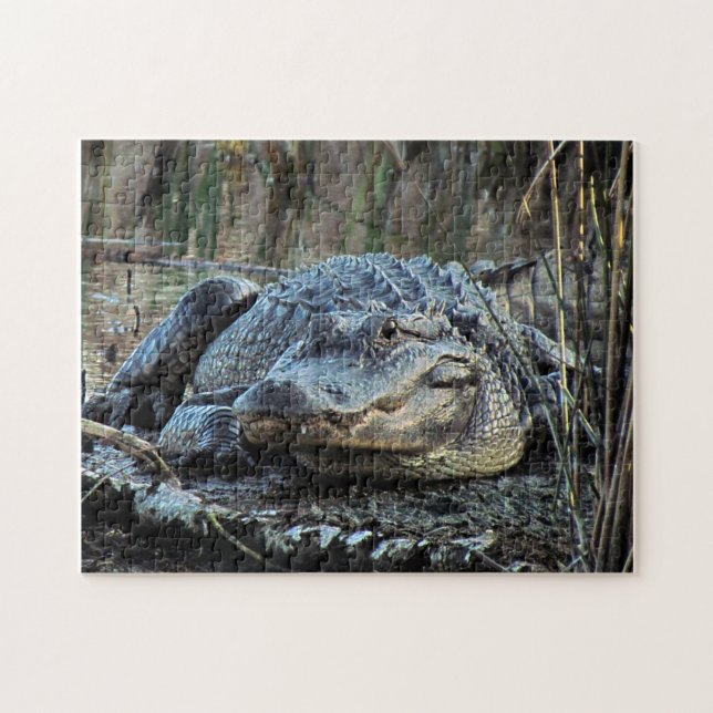Puzzle Alligator (Horizontal)
