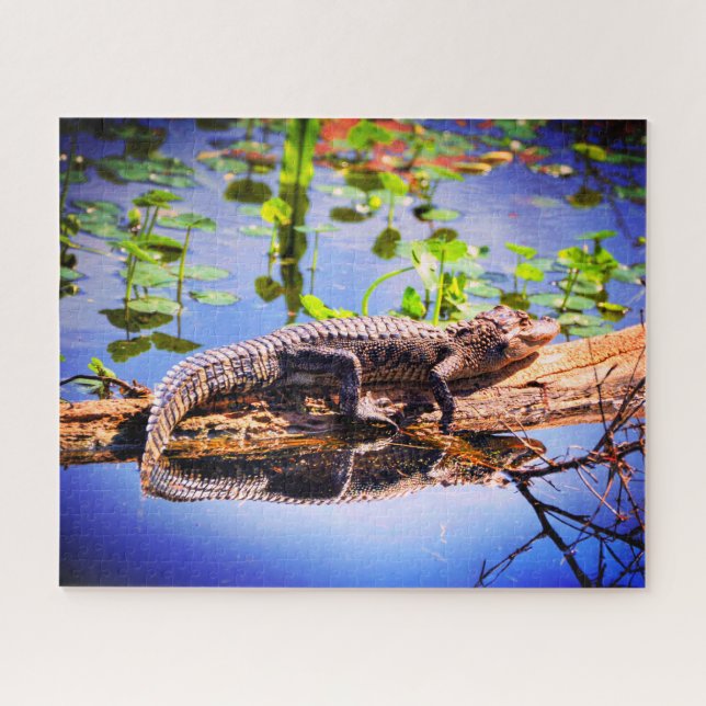 Puzzle Alligator (Horizontal)