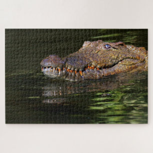 Puzzle Alligator
