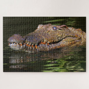 Puzzle Alligator