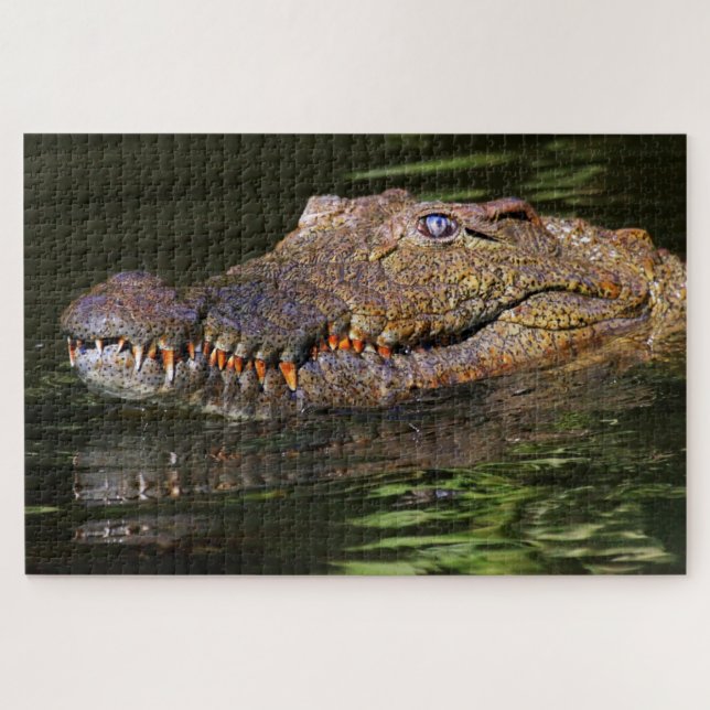 Puzzle Alligator (Horizontal)