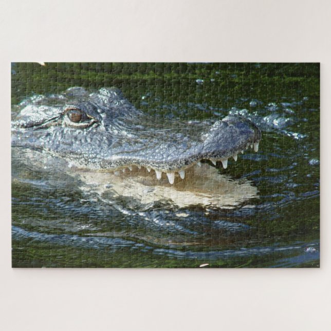 Puzzle Alligator (Horizontal)