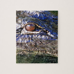 Puzzle Alligator