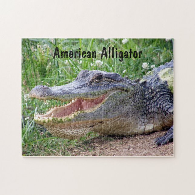 Puzzle Alligator américain (Horizontal)
