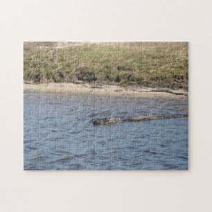 Puzzle Alligator américain dans l'eau des marais de Flori