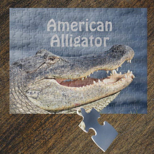 Puzzle Alligator américain souriant (Créateur téléchargé)