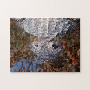 Puzzle Alligator - Attention !