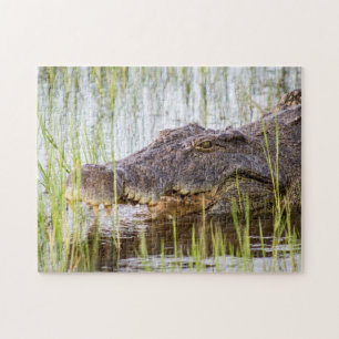 Puzzle Alligator Crocodiles Faune Afrique