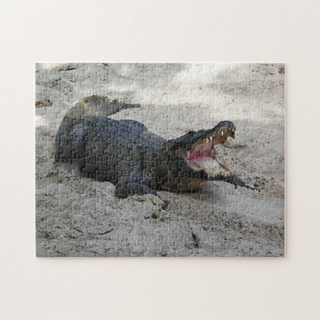 Puzzle Alligator, Fort Lauderdale, Floride (Horizontal)
