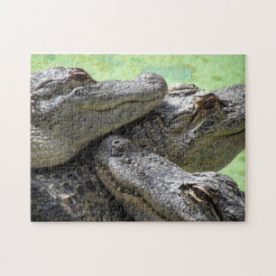 Puzzle Alligator Trois Amigos