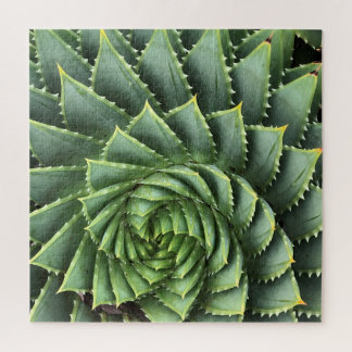 Puzzle Aloe spirale Fibonacci