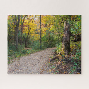 Puzzle along winding forest trail of lebanon hills