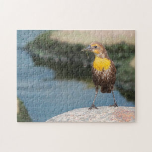 Puzzle Alouette des prairies.