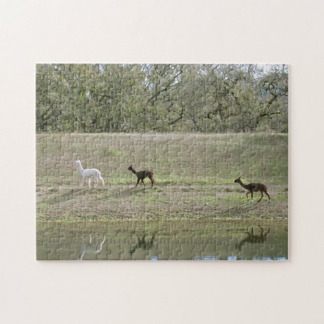 Puzzle - Alpacas on the Hill (Horizontal)