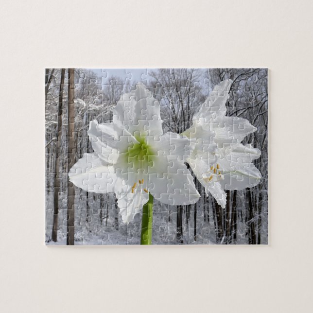 Puzzle Amaryllis blanc et neige I (Horizontal)