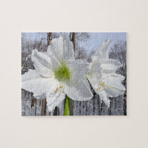Puzzle Amaryllis blanc et neige II