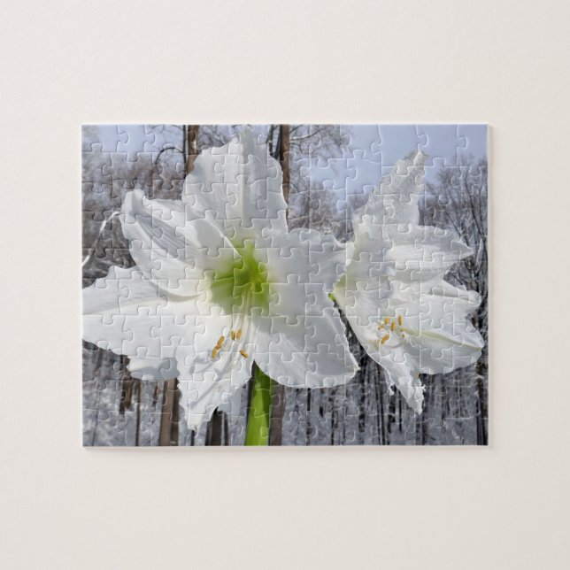 Puzzle Amaryllis blanche et neige II (Horizontal)