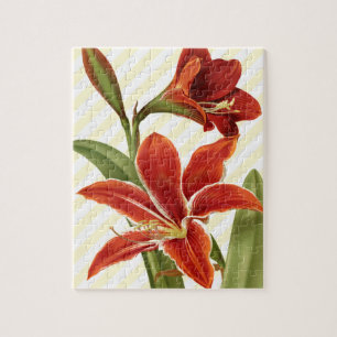Puzzle Amaryllis vintage