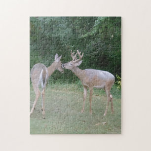 Puzzle Amateur de la nature