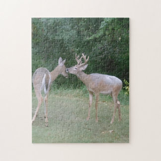 Puzzle Amateur de la nature