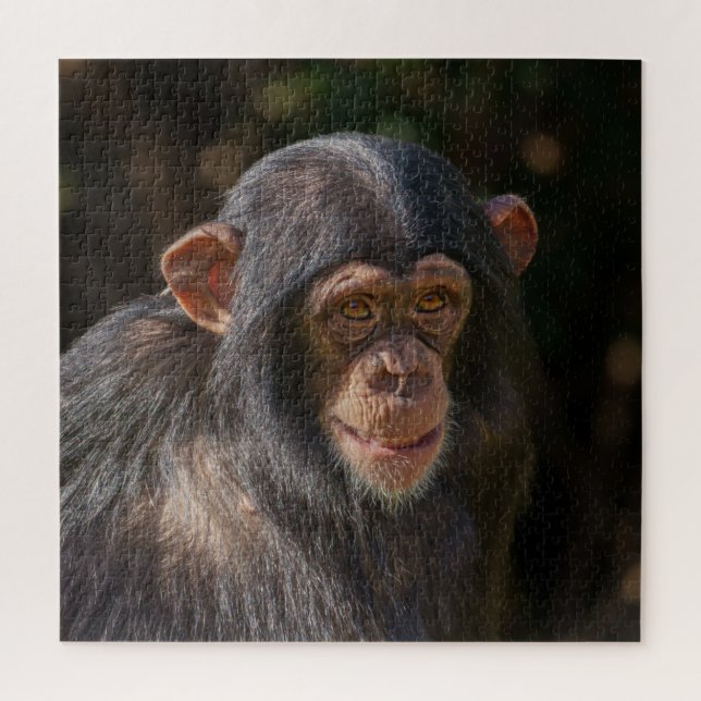 Puzzle Âme joueuse – Gros plan sur un bébé chimpanzé (Vertical)